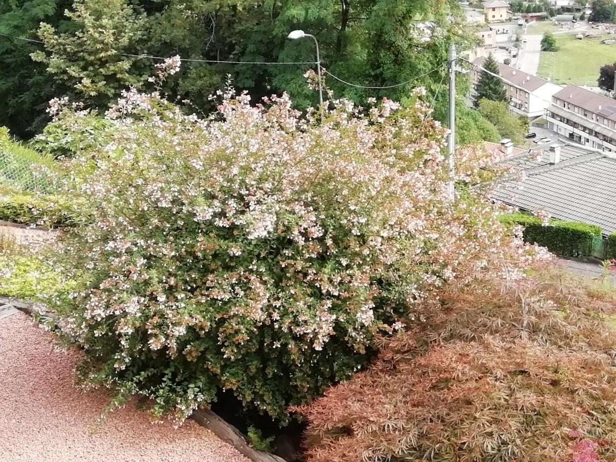 Villa Banfi Lavena Ponte Tresa Kültér fotó