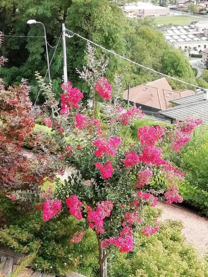 Villa Banfi Lavena Ponte Tresa Kültér fotó